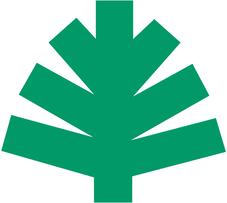 National Arboretum Bald Eagle Nest Cam OLD | National Arboretum Bald