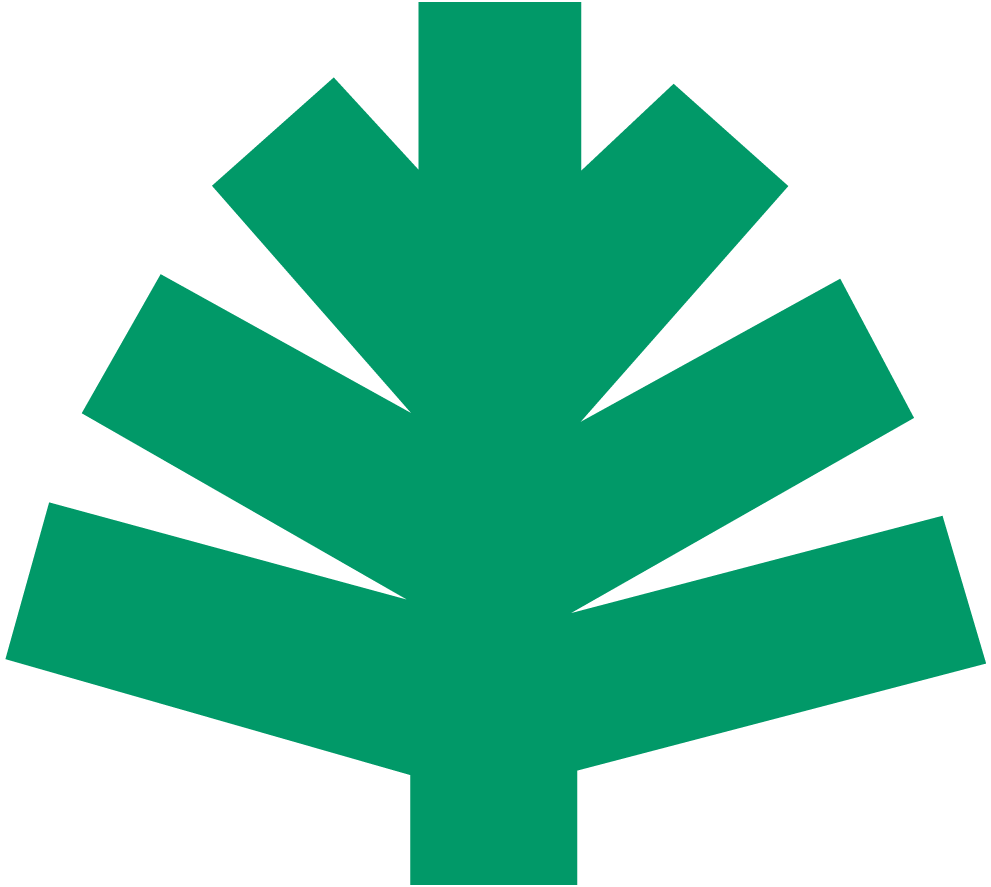 National Arboretum Bald Eagle Nest Cam OLD | National Arboretum Bald